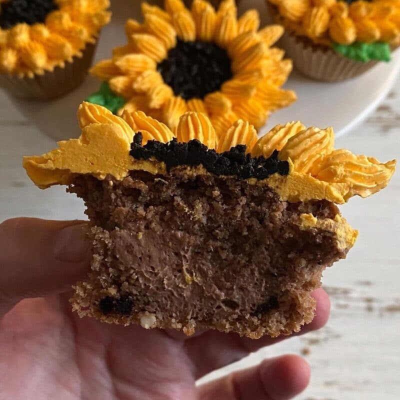 instant chocolate pudding cupcakes