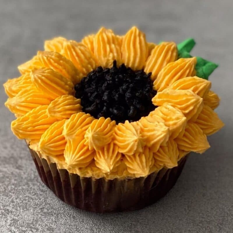 instant chocolate pudding cupcakes