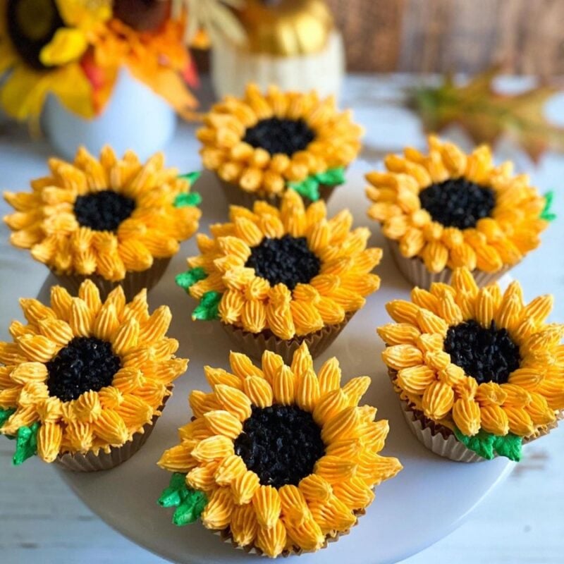 Sunflower cupcakes using Simply Desserts instant chocolate pudding