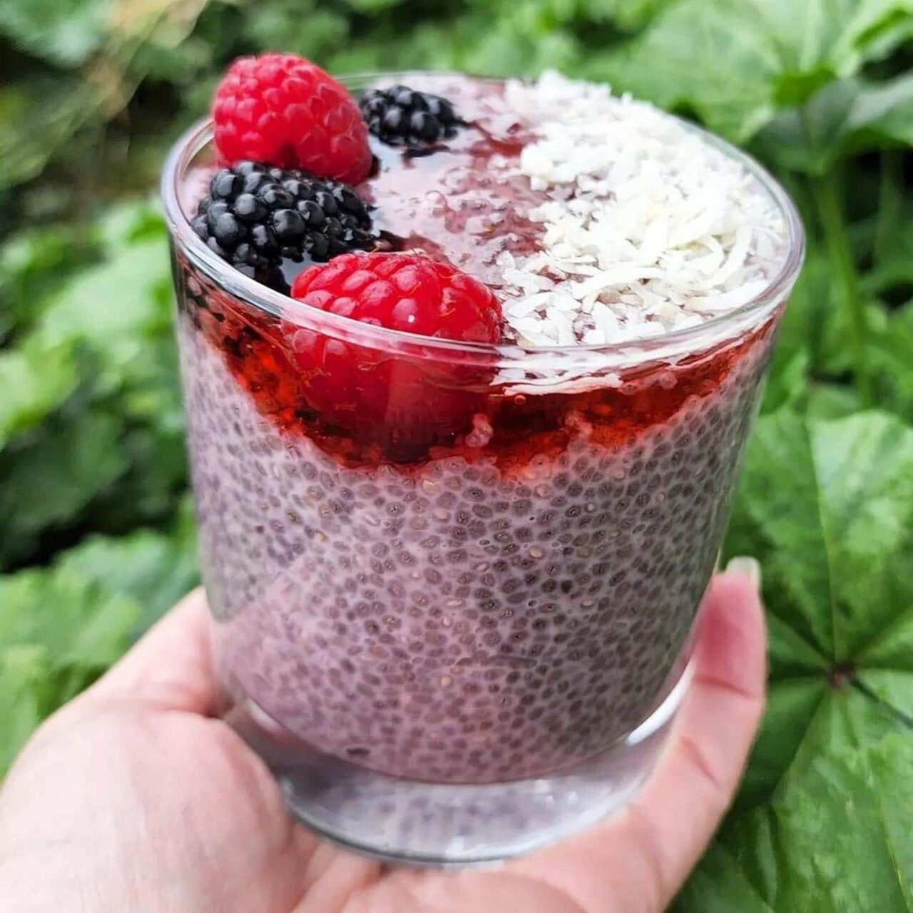 Raspberry Chia Seed Pudding