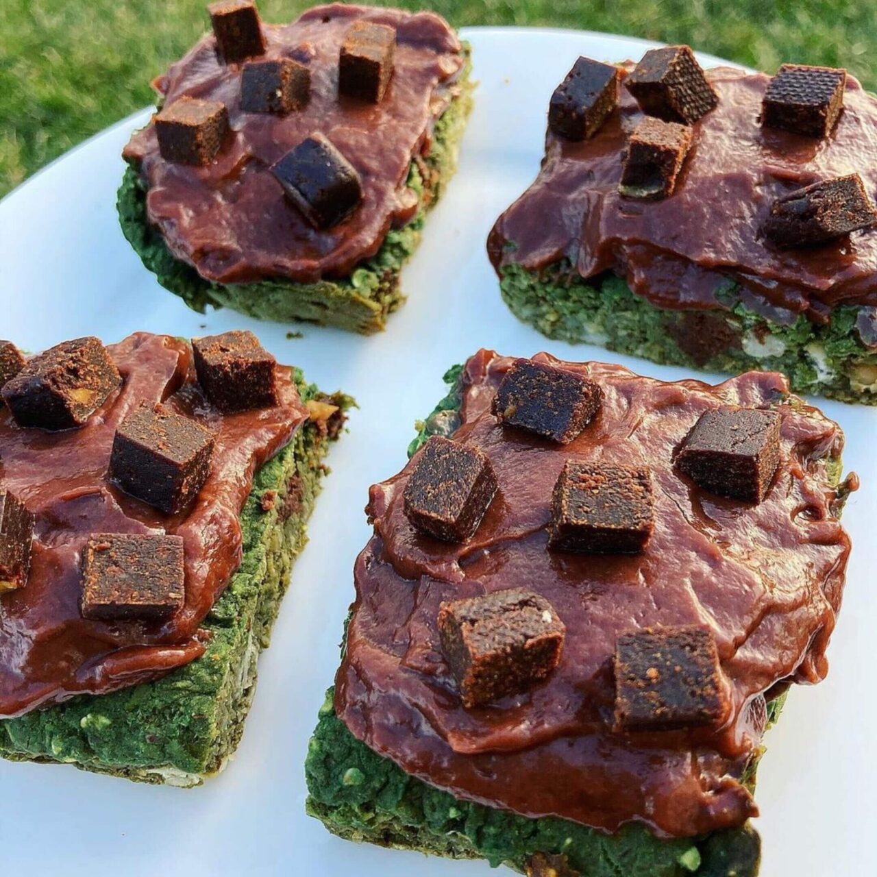 Vegan Mint Chocolate Chip Pudding Bars