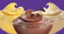 Protein Variety Pudding 9 Pack`